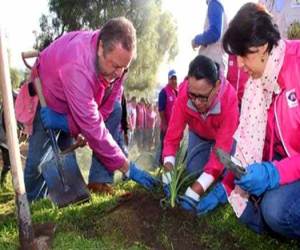 La secretaria de Desarrollo Social del GDF, Rosa Icela Rodríguez, junto con otros funcionarios, participaron en la reforestación del Cerro de la Estrella