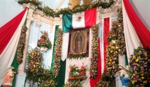 Altar en honor a la Vigen de Guadalupe